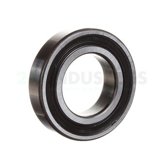 SKF 6006-2RS1/C3 F4