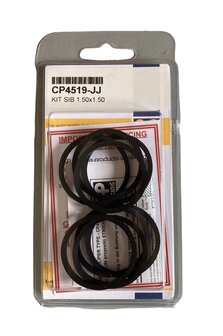 AP Racing CP4519-JJ KIT SIB 1.50x1.50