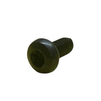 M5x10 Torx schwarz (10 St&uuml;ck)