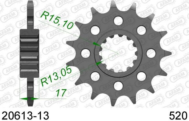 AFAM sprocket front 13T Honda CBR 600cc PC 40 (520 convers)