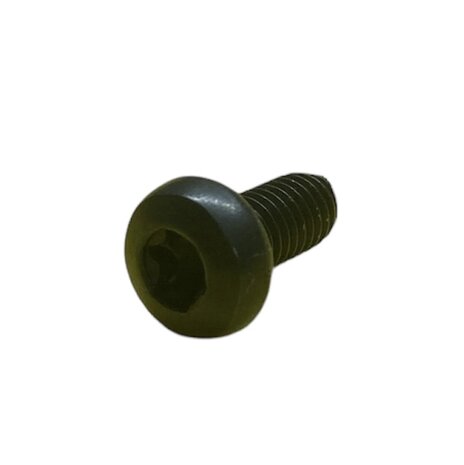 M5x10 Torx schwarz (10 Stück)