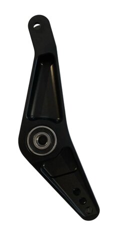 LCR Struzdampfer arm hintern L1 (1996-2009)