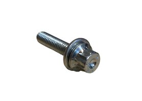 BBS bouten M6 x 25 Schrauben (10 Stück)